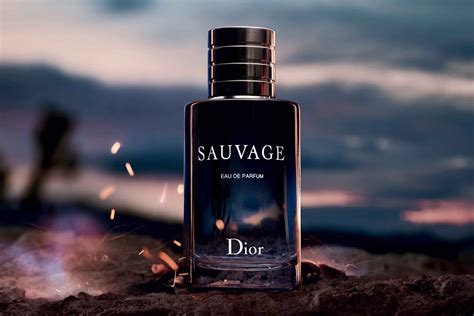 dior ssuvage|dior sauvage best price.